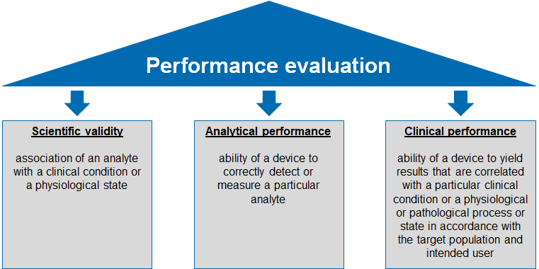 scientific validity report ivdr example